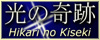 hnk button